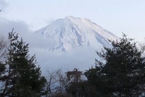 本栖湖の！